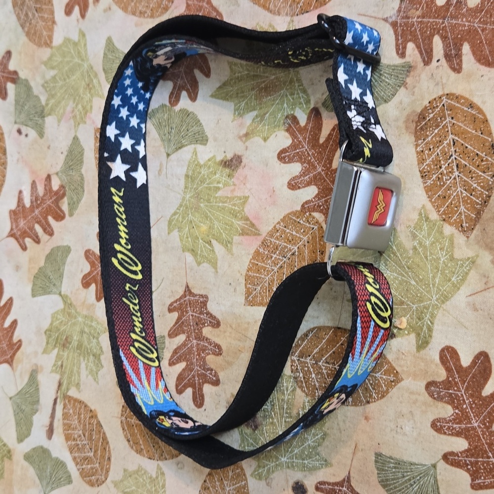 Wonder Women Belt